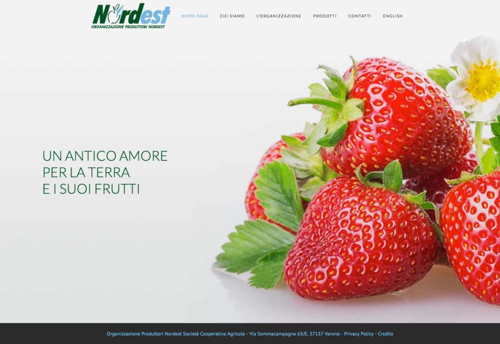 O.P. nordest – Online il nuovo sito web delll’organizzazione produttore