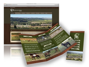 P & PRADAVERA HORSES FARM… Sito Internet e Brochure