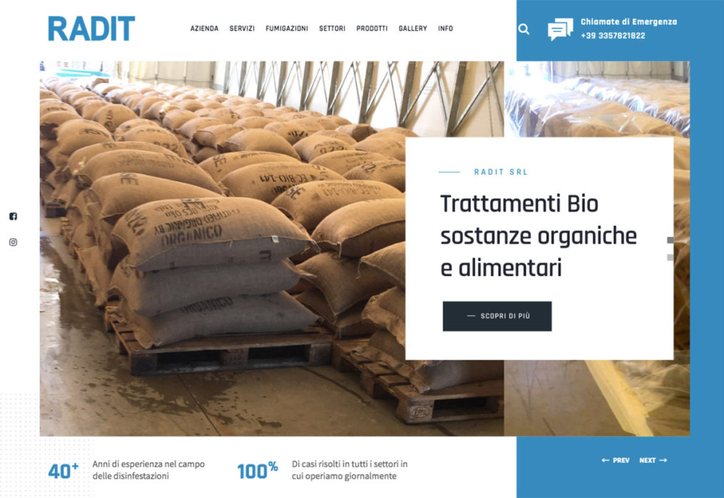 Radit: campagna S.E.O.